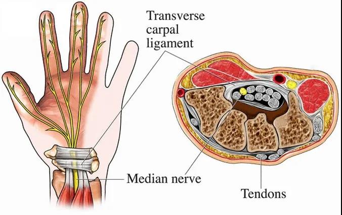 德医学院-助力医学教育发展!